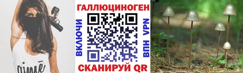 Псилоцибиновые грибы Psilocybe  маркетплейс наркотические препараты  Находка  магазин продажи  