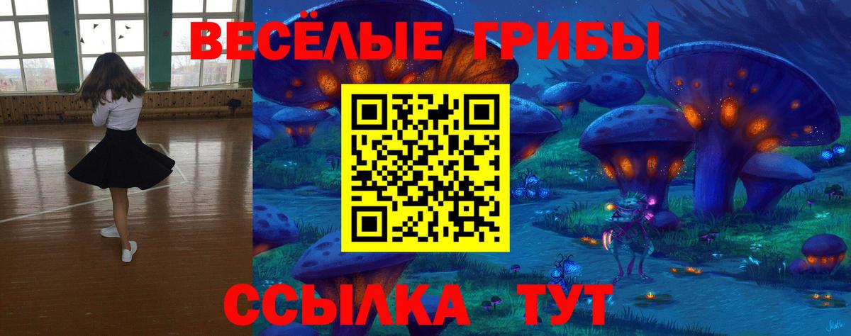 Псилоцибиновые грибы Psilocybe  Вход с VPN  Находка 